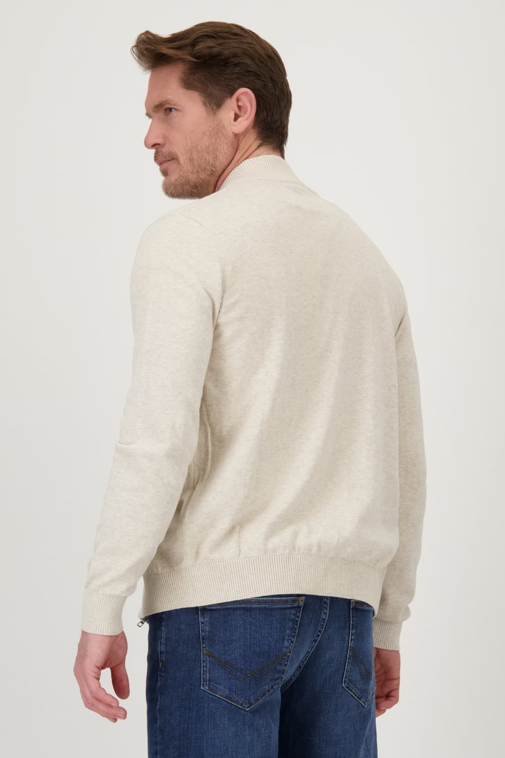 Achterkant van Beige cardigan met rits door Dansaert Blue voor Heren