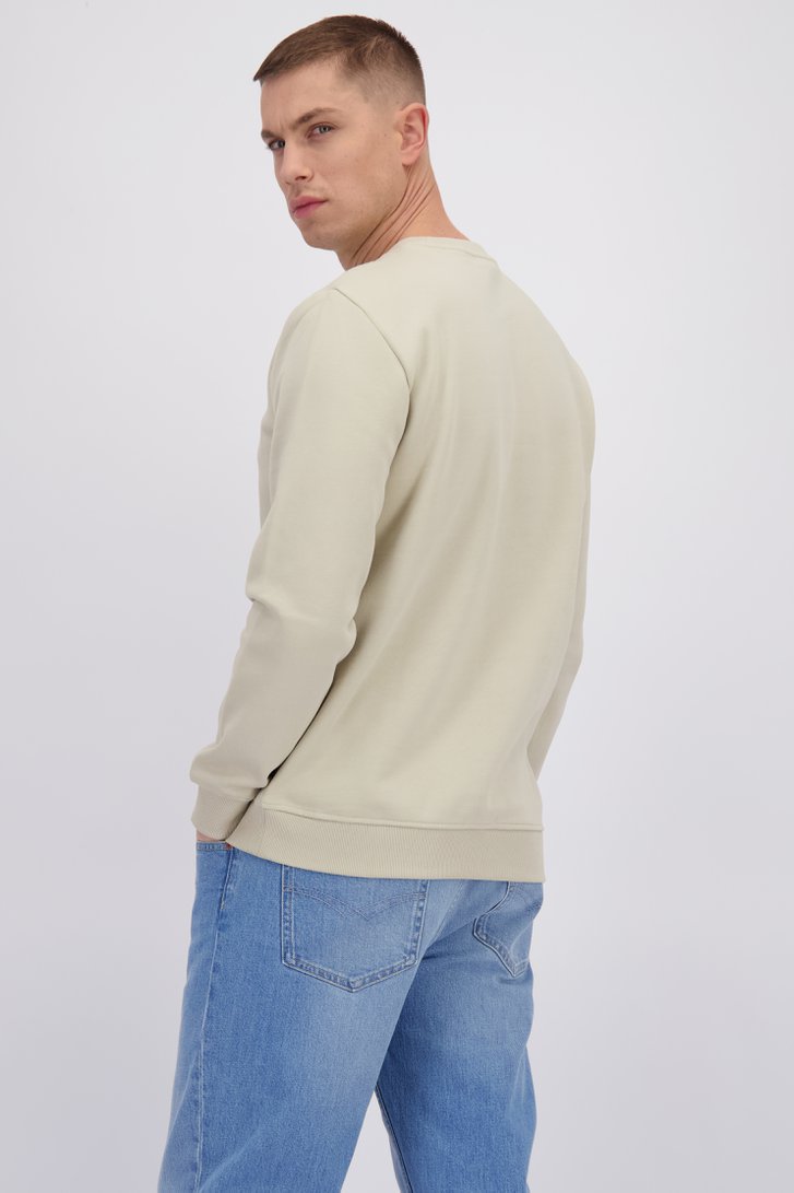 Achterkant van Beige sweater met ronde hals  door Only & Sons voor Heren