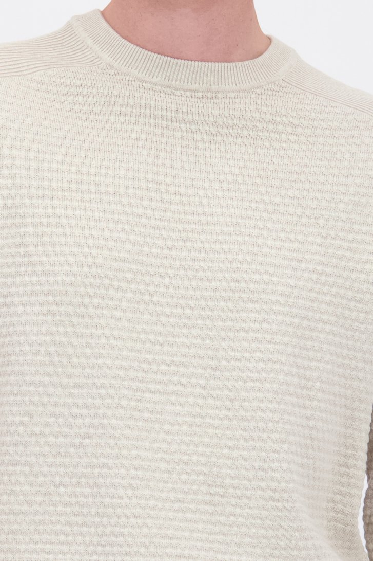 Detail van Beige trui met lange mouwen door Ravøtt voor Heren