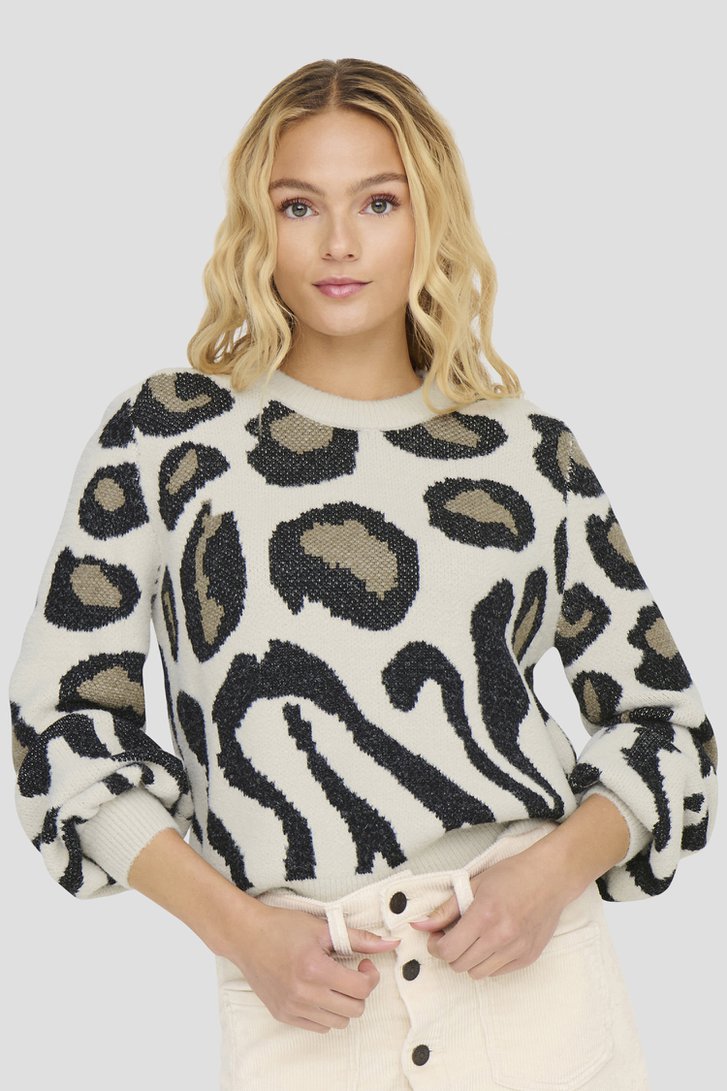 Voorkant van Beige trui met zwarte animal print  door JDY voor Dames