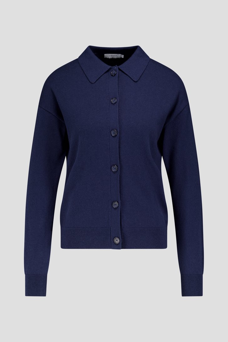 Productfoto 1 van Blauwe cardigan met polokraag door Liberty Island voor Dames