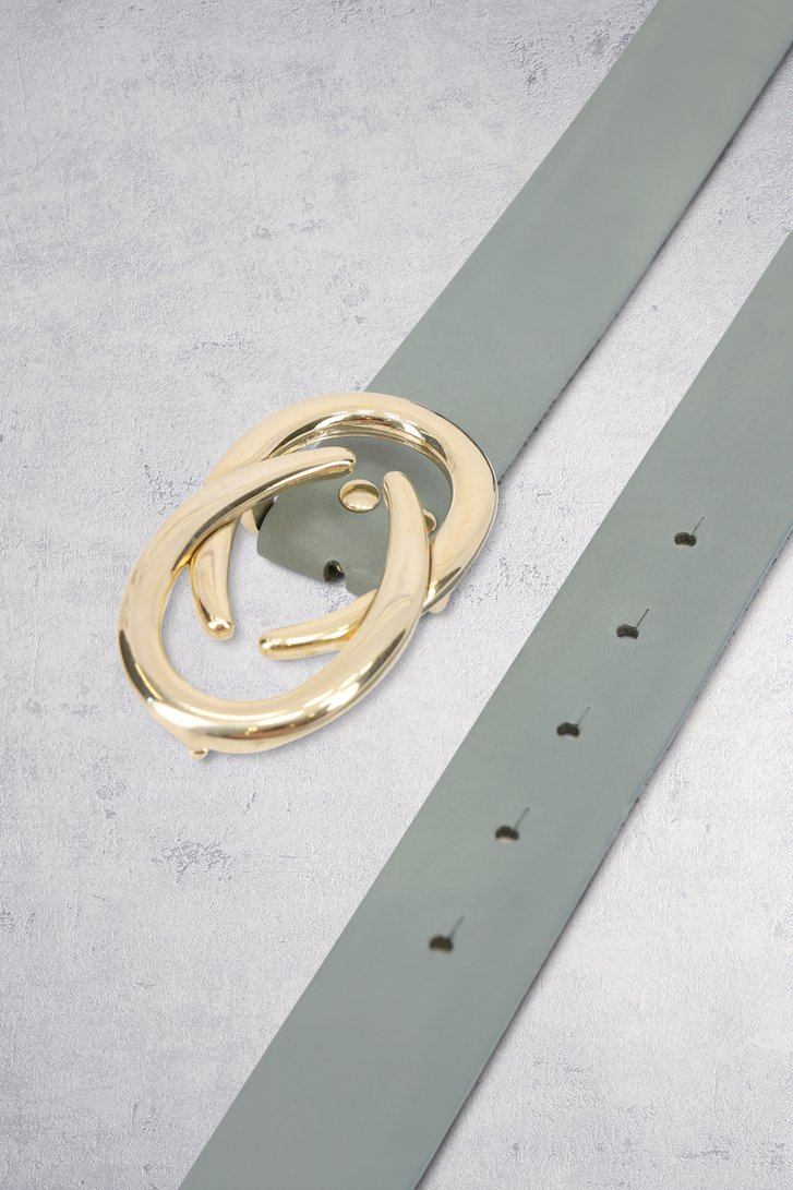 Achterkant van Blauwgrijze riem met gouden detailgesp door D'Auvry voor Dames