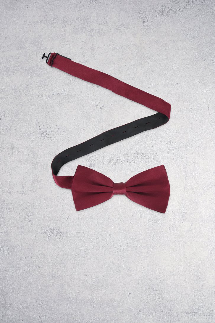 Voorkant van Bordeaux strik door Michaelis voor Heren