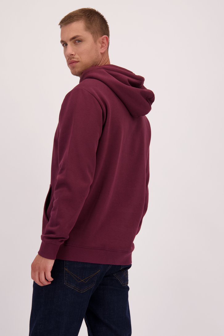 Achterkant van Bordeaux trui met kap  door Only & Sons voor Heren