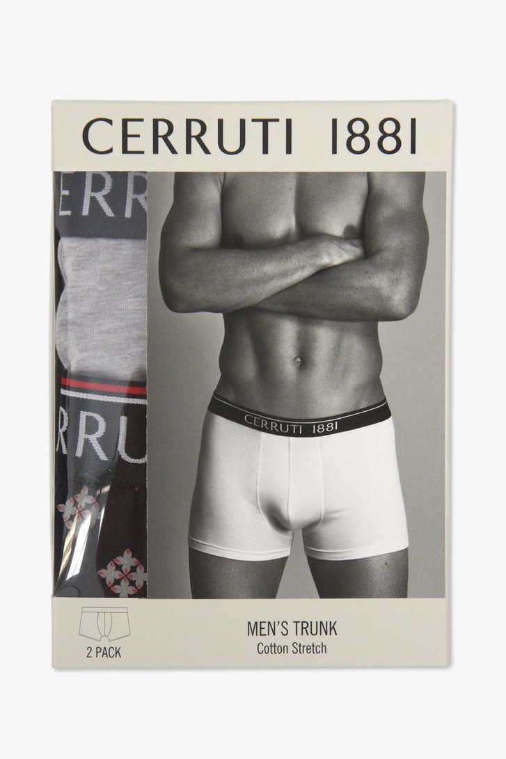 Boxer gris et imprimé - 2 pièces de Cerruti 1881 pour Hommes