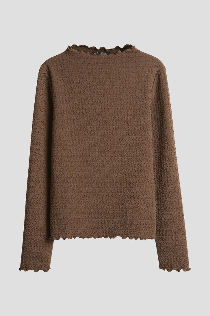 Productfoto 1 van Bruine longsleeve met structuur door Opus voor Dames