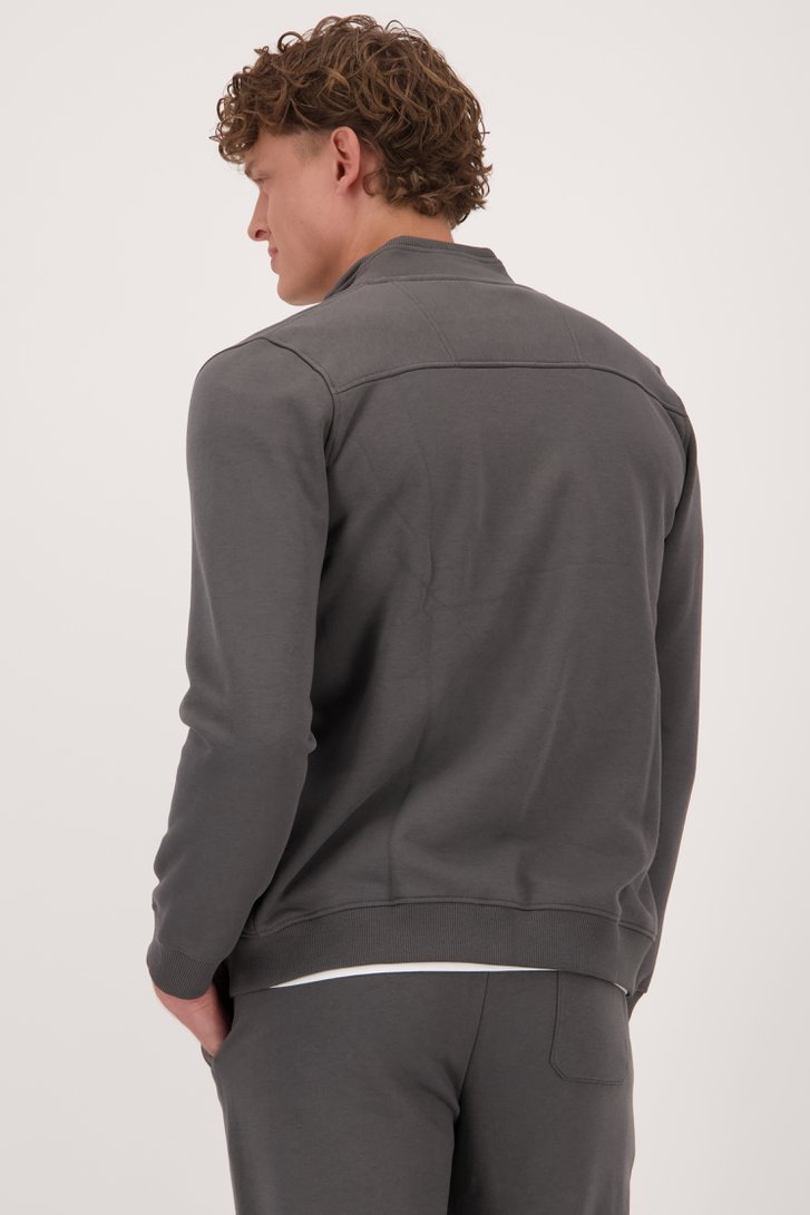 Le dos de Cardigan zippé gris-vert	 de Liberty Island pour Hommes