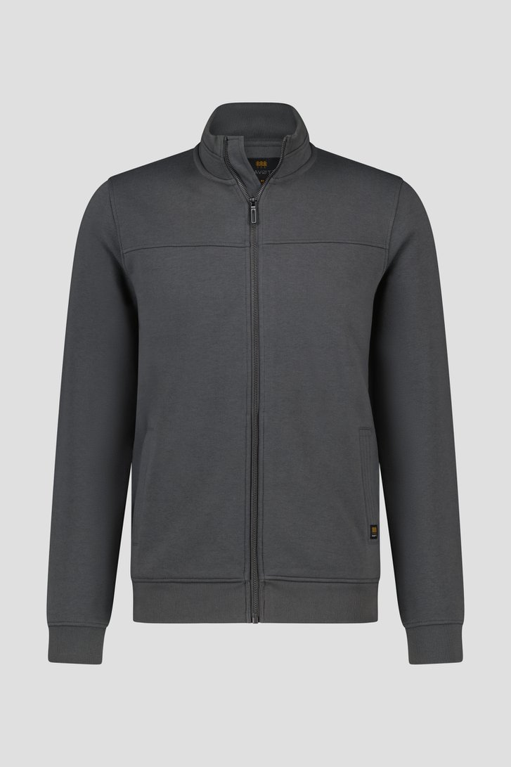 Photo produit 1 de Cardigan zippé gris-vert	 de Liberty Island pour Hommes