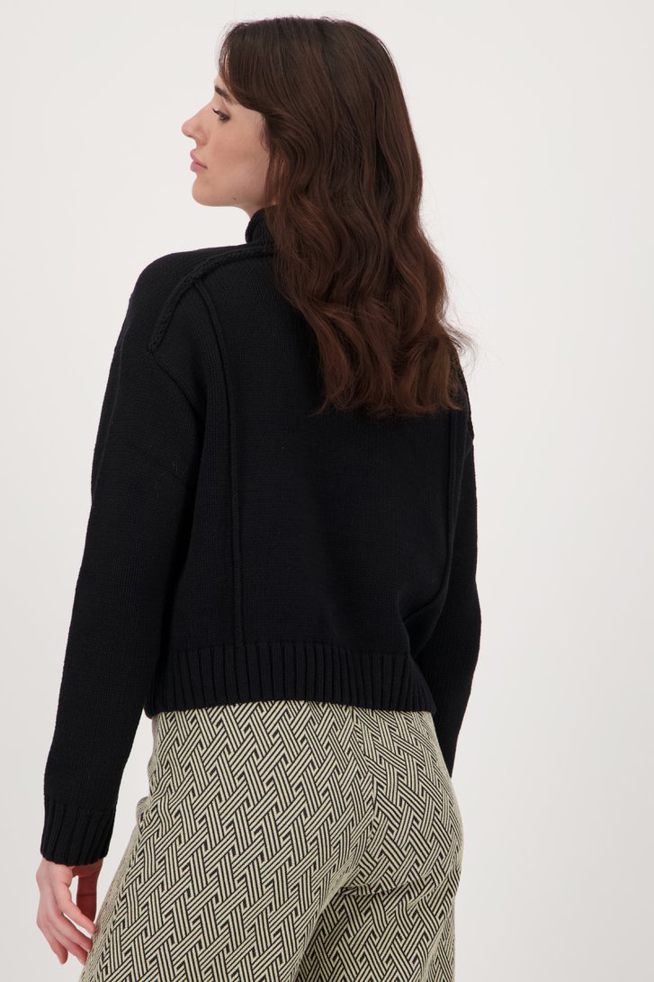 Col roulé en tricot noir de Geisha pour Femmes