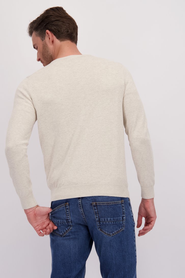 Achterkant van Fijne beige trui met V-hals door Dansaert Blue voor Heren