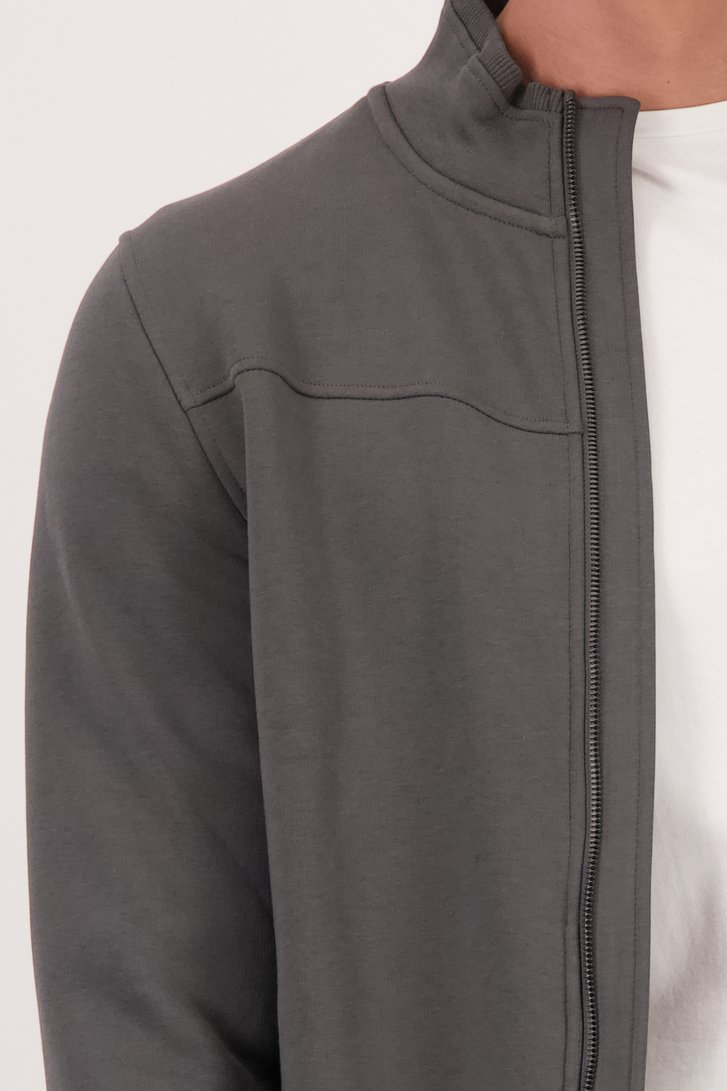 Detail van Grijsgroene cardigan met rits door Liberty Island voor Heren