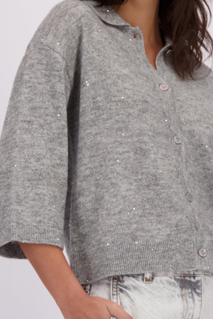 Detail van Grijze cardigan met glitter door Louise voor Dames