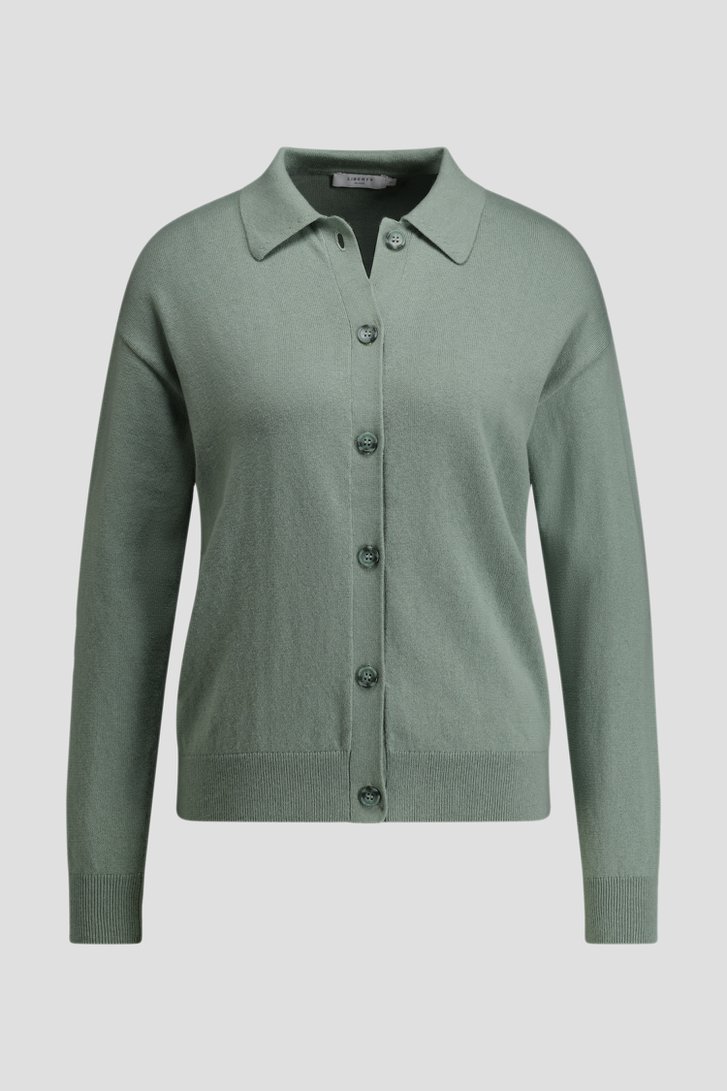 Productfoto 1 van Groene cardigan met polokraag door Liberty Island voor Dames