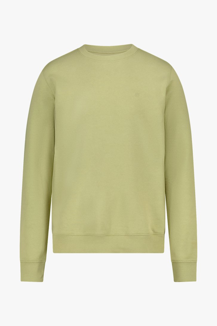 Groene sweater - Collectie Metejoor van Ravøtt voor Heren