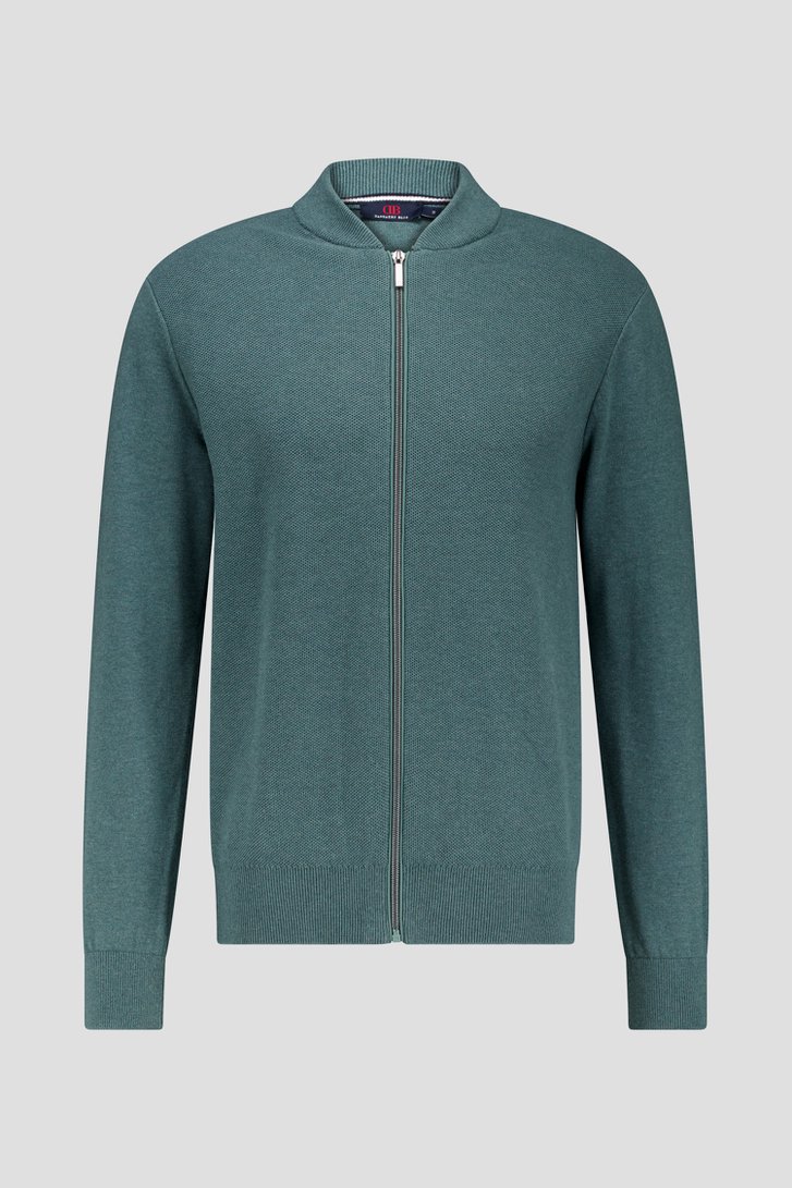 Groene tricot cardigan met rits van Dansaert Blue voor Heren