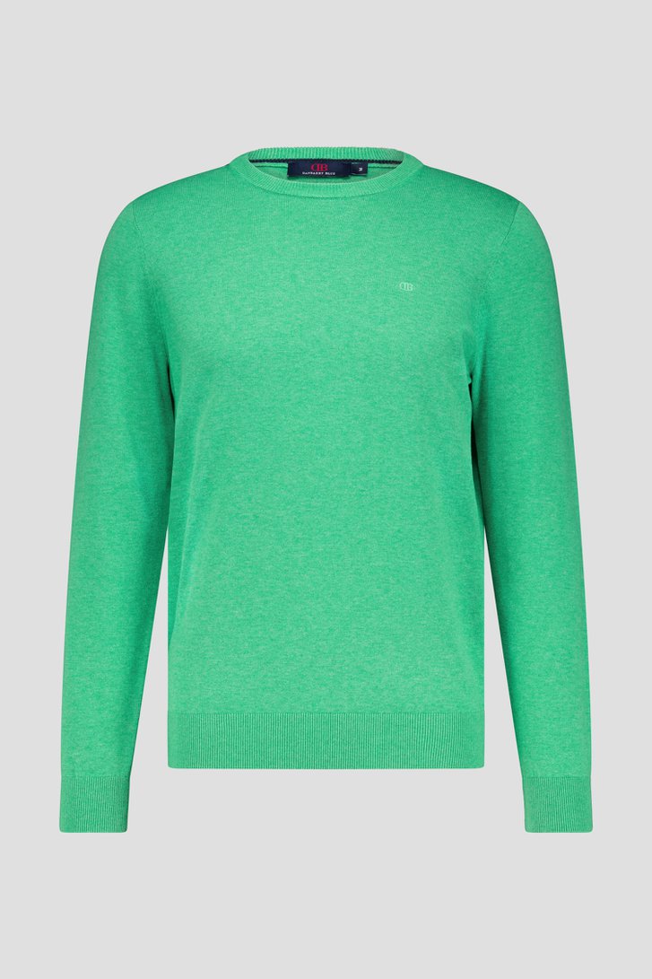 Groene trui met ronde hals van Dansaert Blue voor Heren