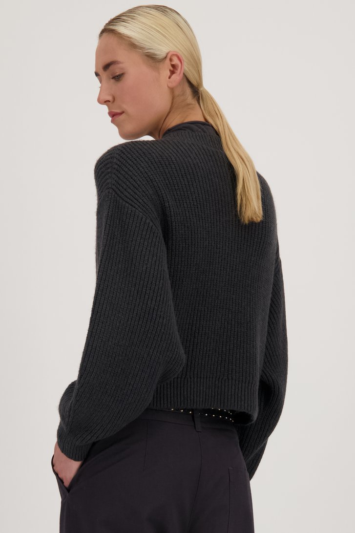 Korte donkergrijze cardigan - Louise x Tine van Louise voor Dames