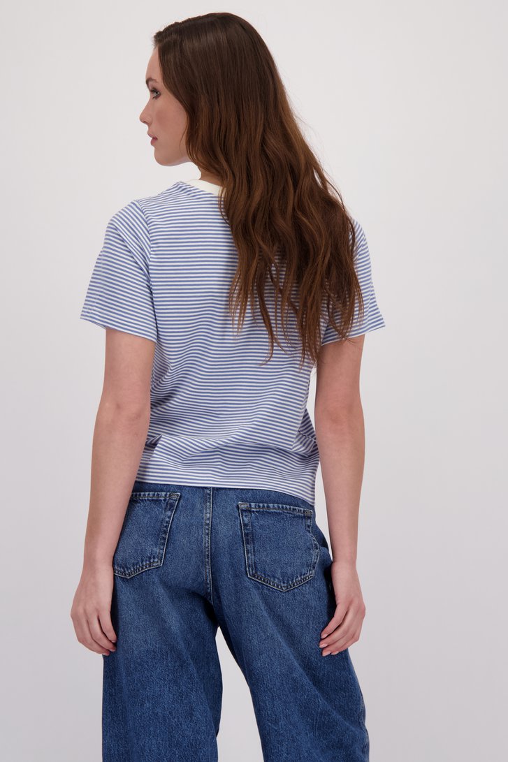 Achterkant van  Lichtblauw gestreept T-shirt  door JDY voor Dames