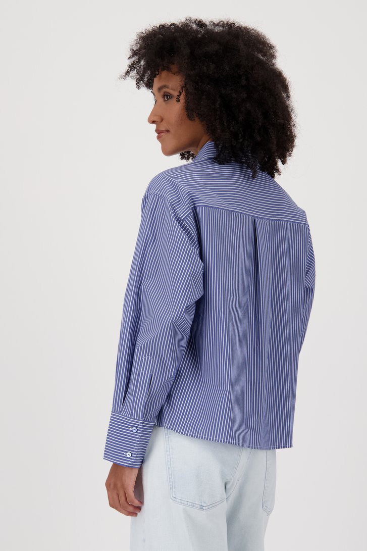 Lichtblauw gestreepte blouse van Louise voor Dames