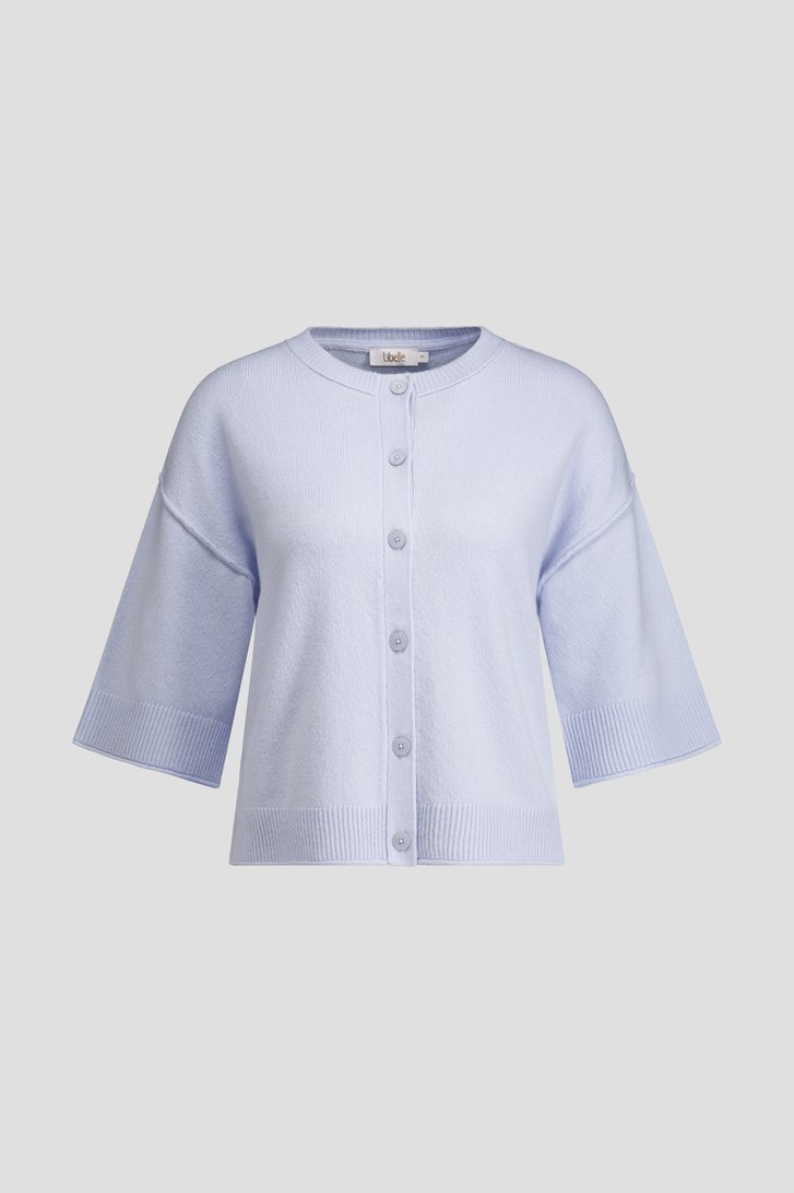 Productfoto 1 van Lichtblauwe cardigan met 3/4 mouwen door Libelle voor Dames