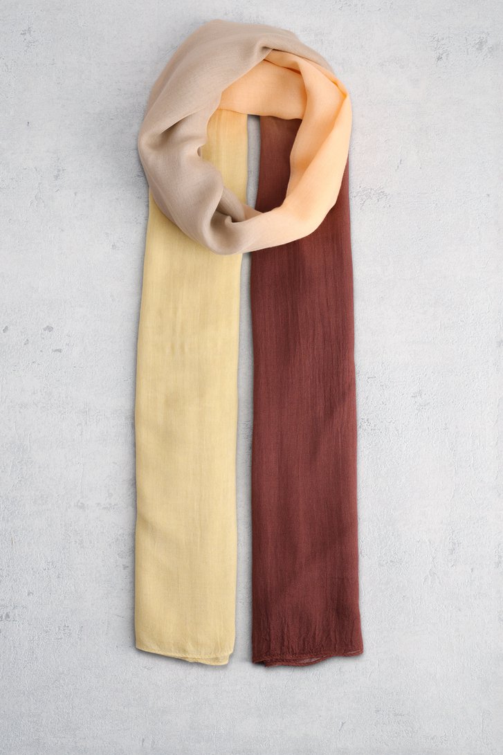 Voorkant van Multicolor sjaal met ombré-effect door D'Auvry voor Dames