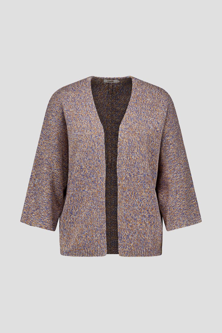 Oranje-blauw gemêleerde cardigan van Libelle voor Dames