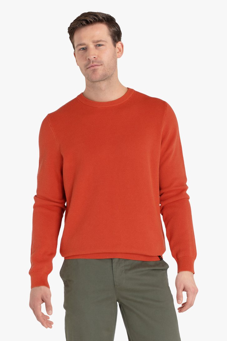Oranje trui met ronde hals van Ravøtt voor Heren