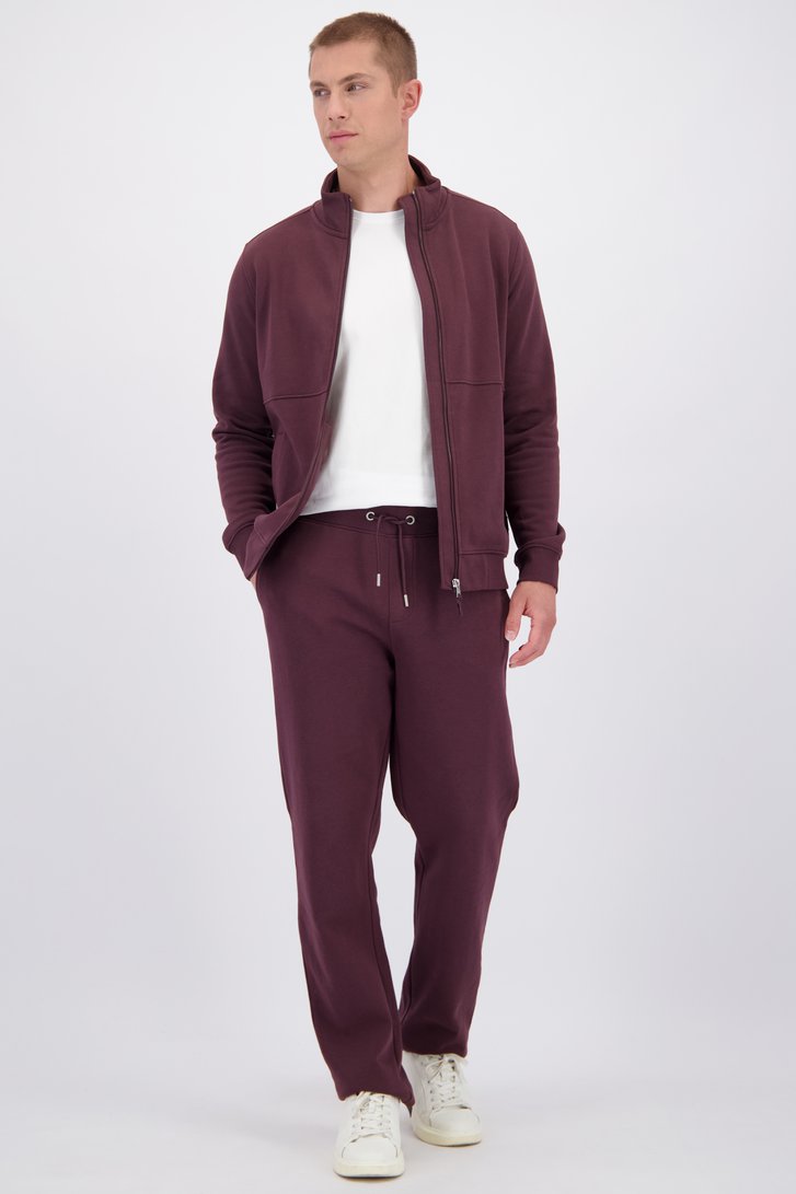Le devant de Pantalon de jogging bordeaux de Liberty Island pour Hommes