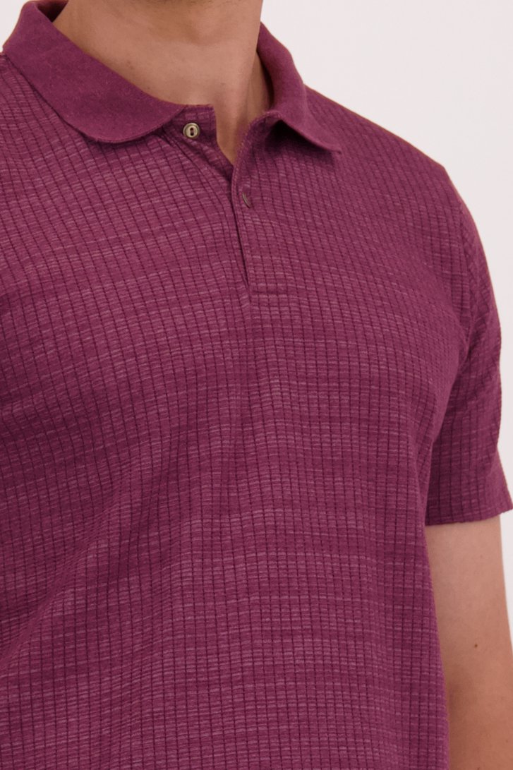 Détail de Polo bordeaux à manches courtes de Casual Five pour Hommes