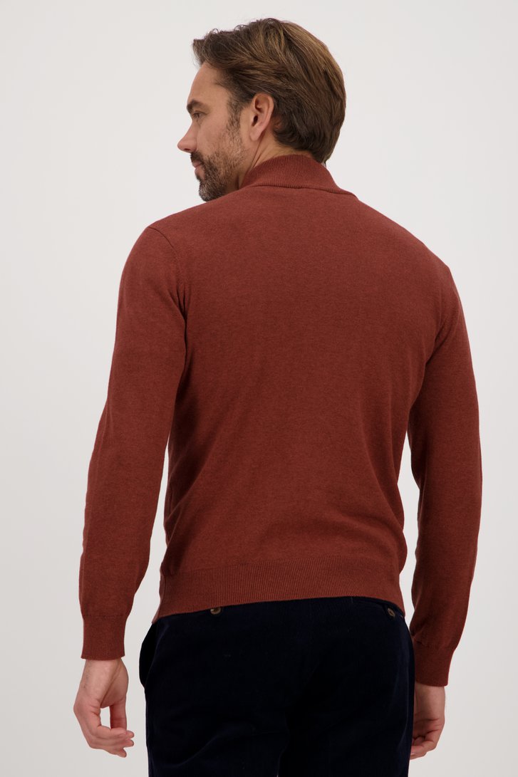 Le dos de Pull marron avec fermeture éclair courte	 de Dansaert Blue pour Hommes