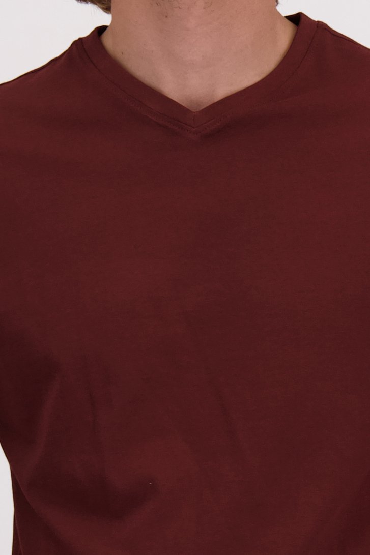 Detail van Roodbruin T-shirt met V-hals door Liberty Island voor Heren