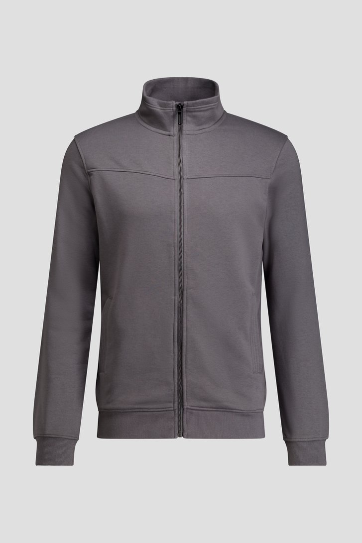 Photo produit 1 de Sweat zippé gris de Liberty Island pour Hommes