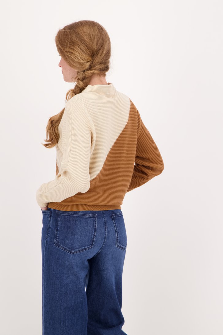 Tweekleurige trui van Libelle voor Dames