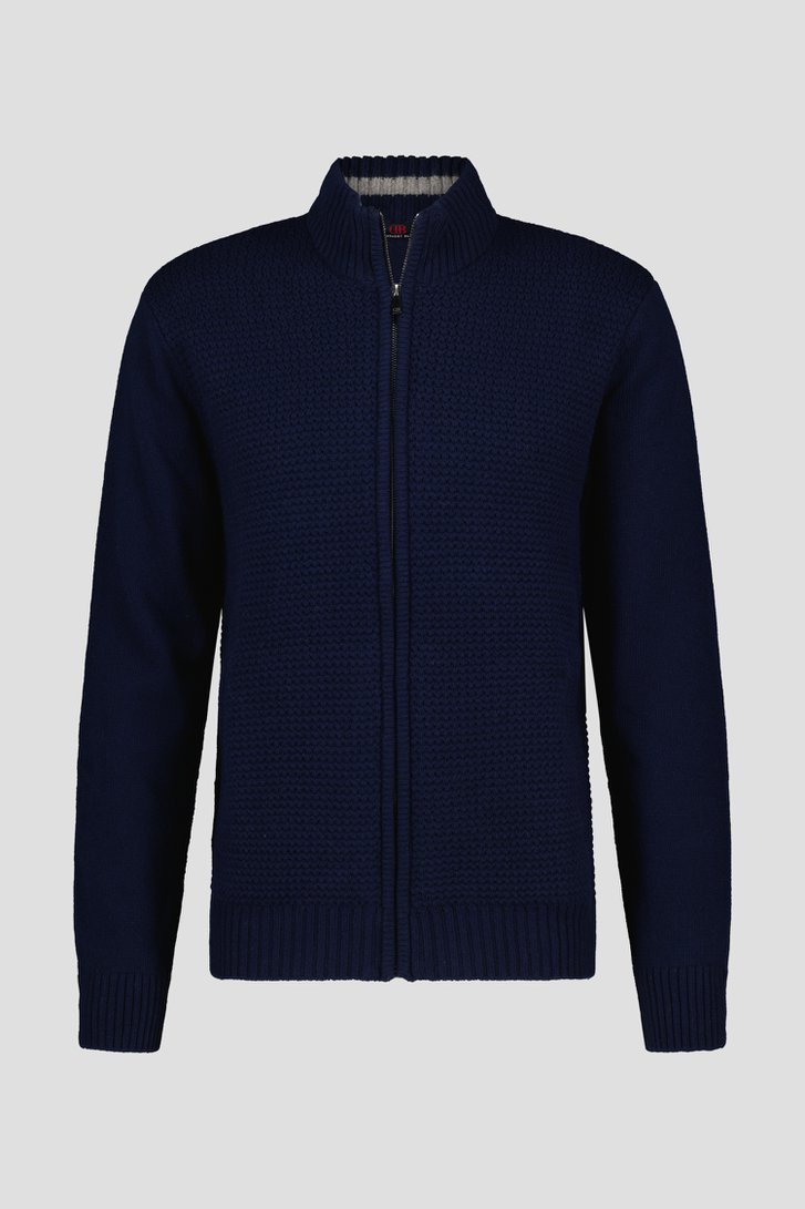 Warme blauwe cardigan met rits van Dansaert Blue voor Heren