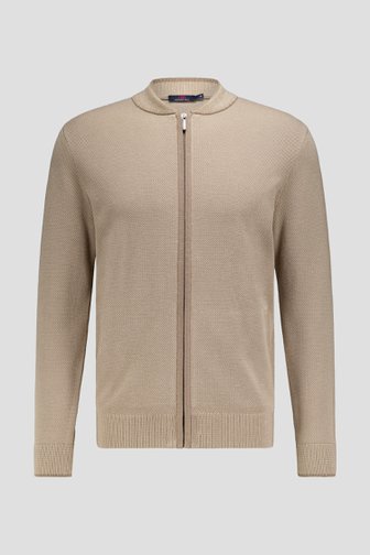Voorkant van Beige cardigan met rits door Dansaert Blue voor Heren