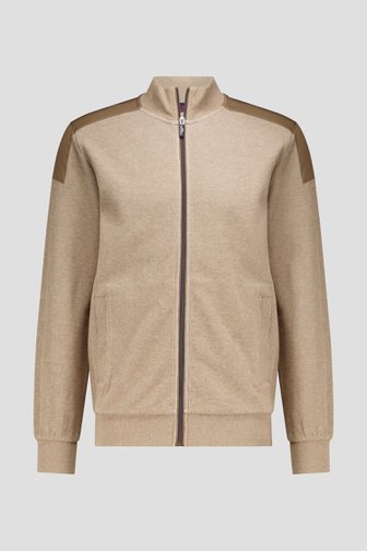 Voorkant van Beige cardigan met rits en opstaande kraag door Dansaert Blue voor Heren