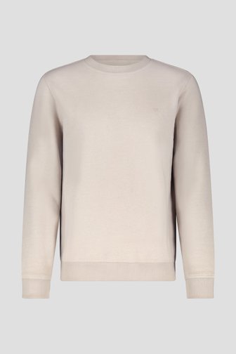 Beige sweater - Collectie Metejoor van Ravøtt voor Heren