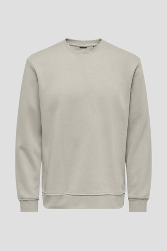 Voorkant van Beige sweater met ronde hals  door Only & Sons voor Heren
