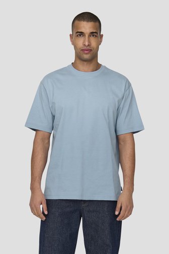 Blauw T-shirt met ronde hals van ONLY & SONS voor Heren