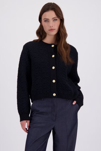 Voorkant van Blauwe cardigan met gouden knopen door JDY voor Dames