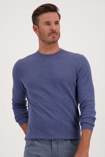 Blauwe fijngebreide trui van Michaelis voor Heren