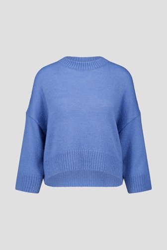 Blauwe trui  van Louise voor Dames