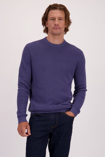 Voorkant van Blauwe trui met ronde hals door Ravøtt voor Heren