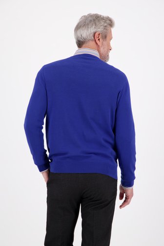 Blauwe trui met V-hals van Dansaert Blue voor Heren