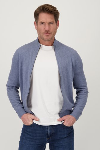 Voorkant van Blauwgrijze cardigan met rits door Dansaert Blue voor Heren