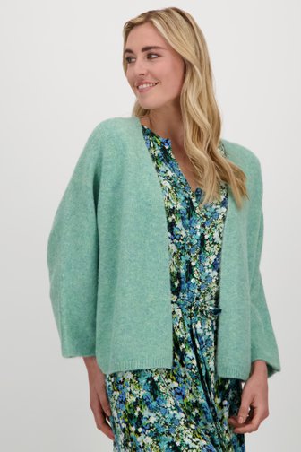 Libelle Blauwgroene cardigan