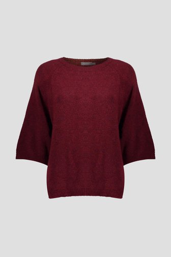 Productfoto 1 van Bordeaux trui met driekwartmouwen door Geisha voor Dames