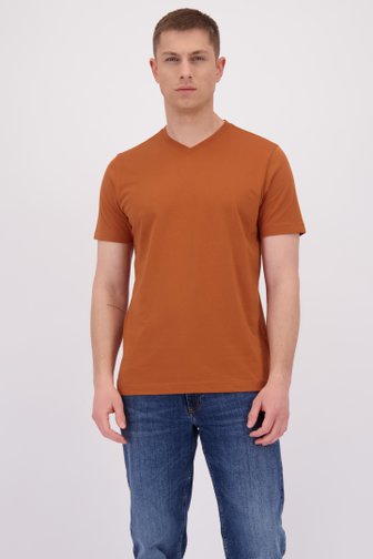 Voorkant van Bruin katoenen T-shirt met V-hals door Liberty Island voor Heren