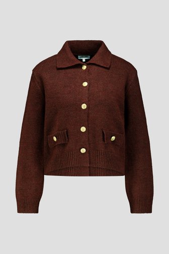 Voorkant van Bruine cardigan met gouden knopen door More & More voor Dames