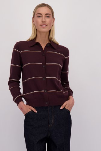 Voorkant van Bruine cardigan met kraag en strepen door Liberty Island voor Dames